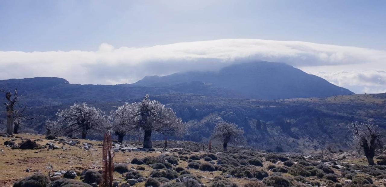 Hotel Sierra Hidalga Ronda Zewnętrze zdjęcie